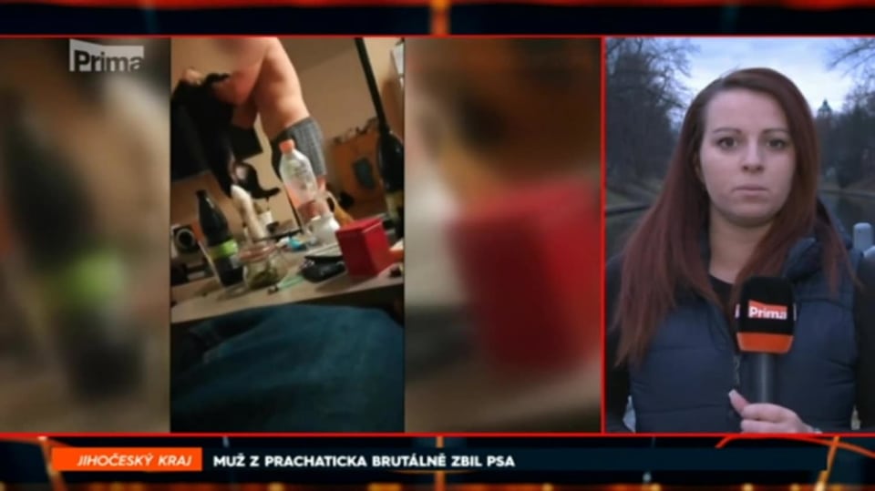 14. 3. 2018 ZPRÁVY: MUŽ Z PRACHATICKA BRUTÁLNĚ ZBIL PSA